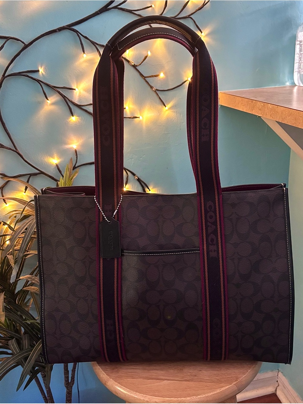 Coach Large Smith Signature Canvas Tote Bag